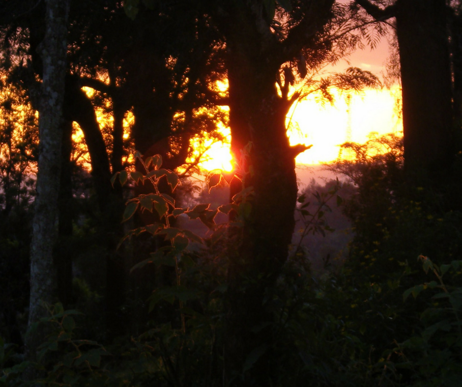 Sunsets