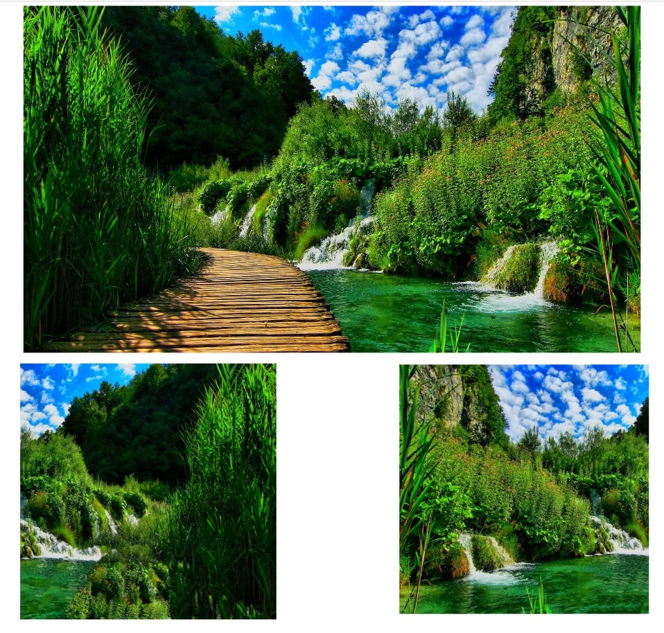 Thumbnail: Jungle Inspired Background Options 