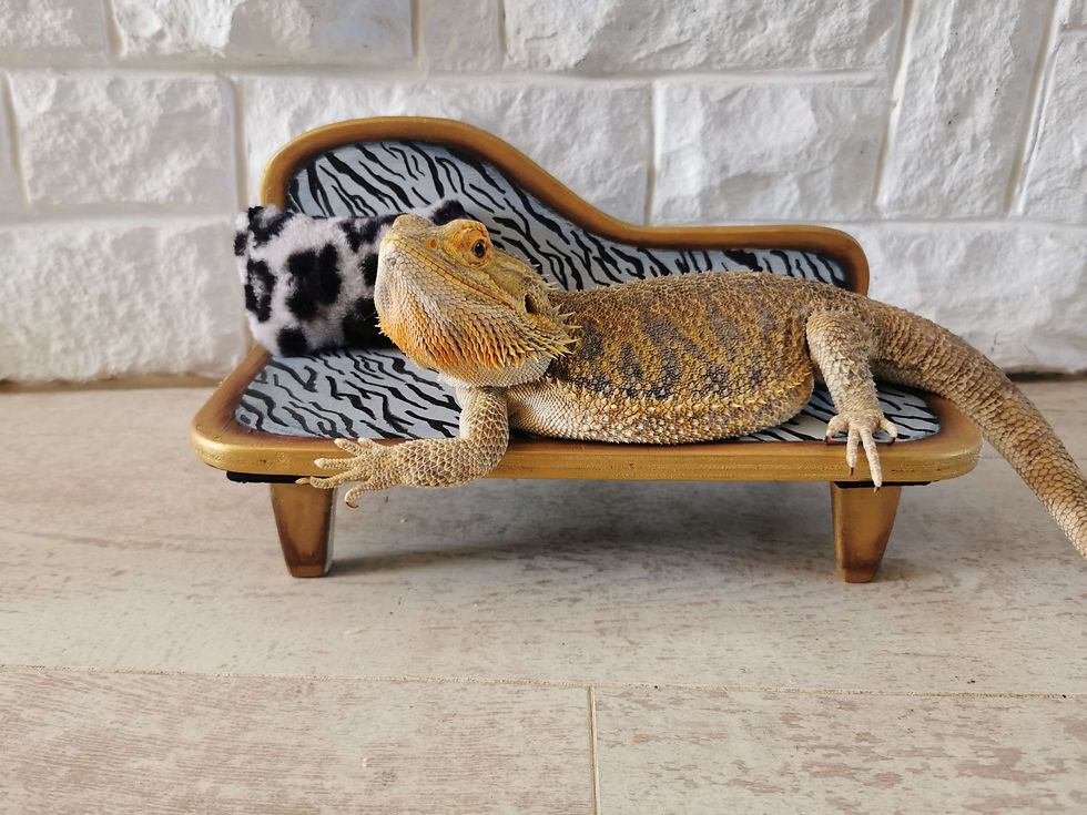 Thumbnail: Novelty Sofa with choice of  Colour & Artwork