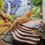 Thumbnail: Corner Basking Platform 