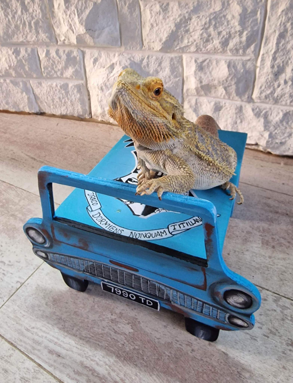 Thumbnail: Harry Potter Basking Platform 