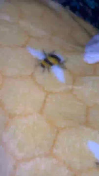 Thumbnail: Small Critter Quilt (Bee Print)