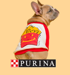 purina