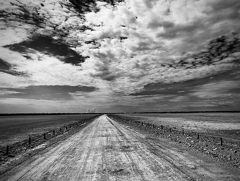 disparo-escala-grises-etosha-pan-parque-nacional-etosha-namibia-cielo-nublado.jpg
