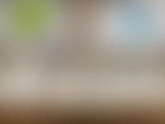 3. Klasse: Wir lassen Bohnen keimen