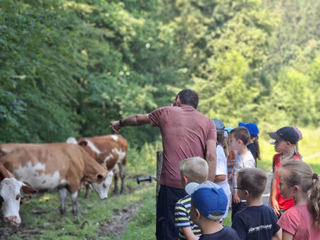 Ausflug zum Biobauernhof Kappel: 1. und 2. Schulstufe