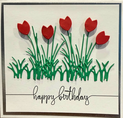 tulips, tulips!