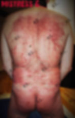 Slave after bullwhipping