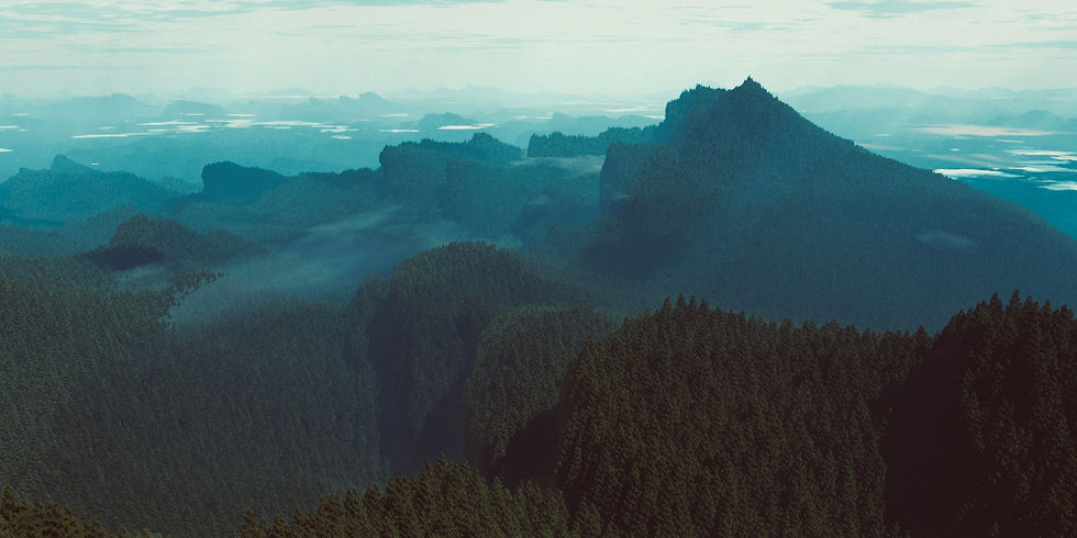 La grande forêt d'Ulmarane