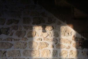IMG_8847.JPG