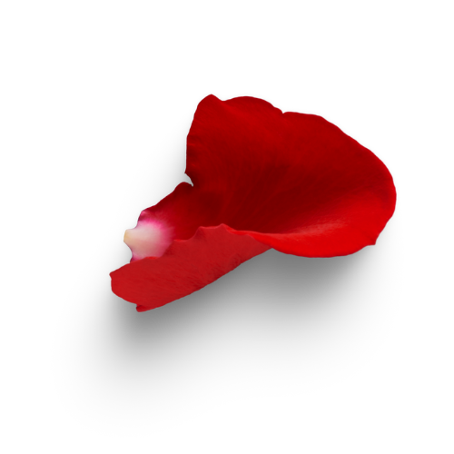 1.png