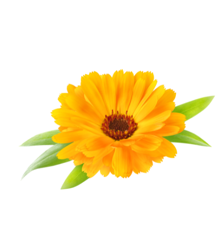 8.png