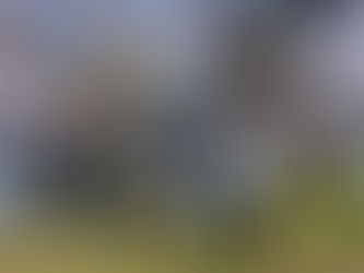 2026 桜まつり 開催レポート