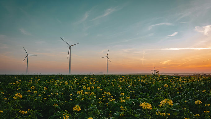 The Ultimate Guide to Eco-Friendly Products