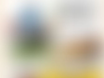 動作技能認識身體|親子運動