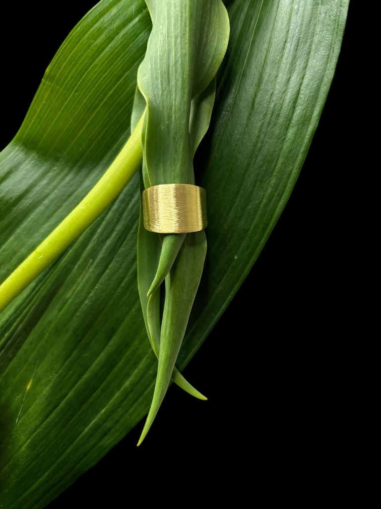 minimal flat ring gold plated close view
