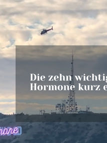 Die zehn wichtigsten Hormone kurz erklärt
