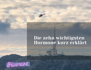 Die zehn wichtigsten Hormone kurz erklärt