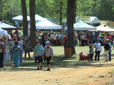 CALICOFORTFAIR-PIC.jpg