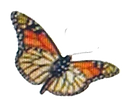 imageonline-co-whitebackgroundremoved (2).png