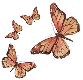 imageonline-co-whitebackgroundremoved.png