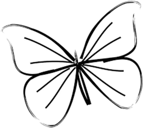 imageonline-co-whitebackgroundremoved (3).png