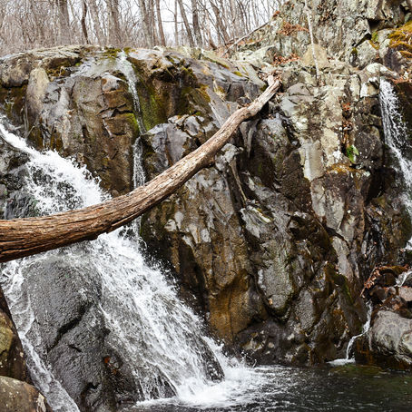 ROSE RIVER LOOP TRAIL