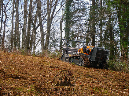 Broyage & débroussaillage forestier, robot de pente radiocommandé. Entretien et réouverture de pâturage