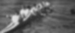 1999 Rowing Team