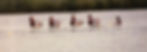 Spring 2002 Rowing Team