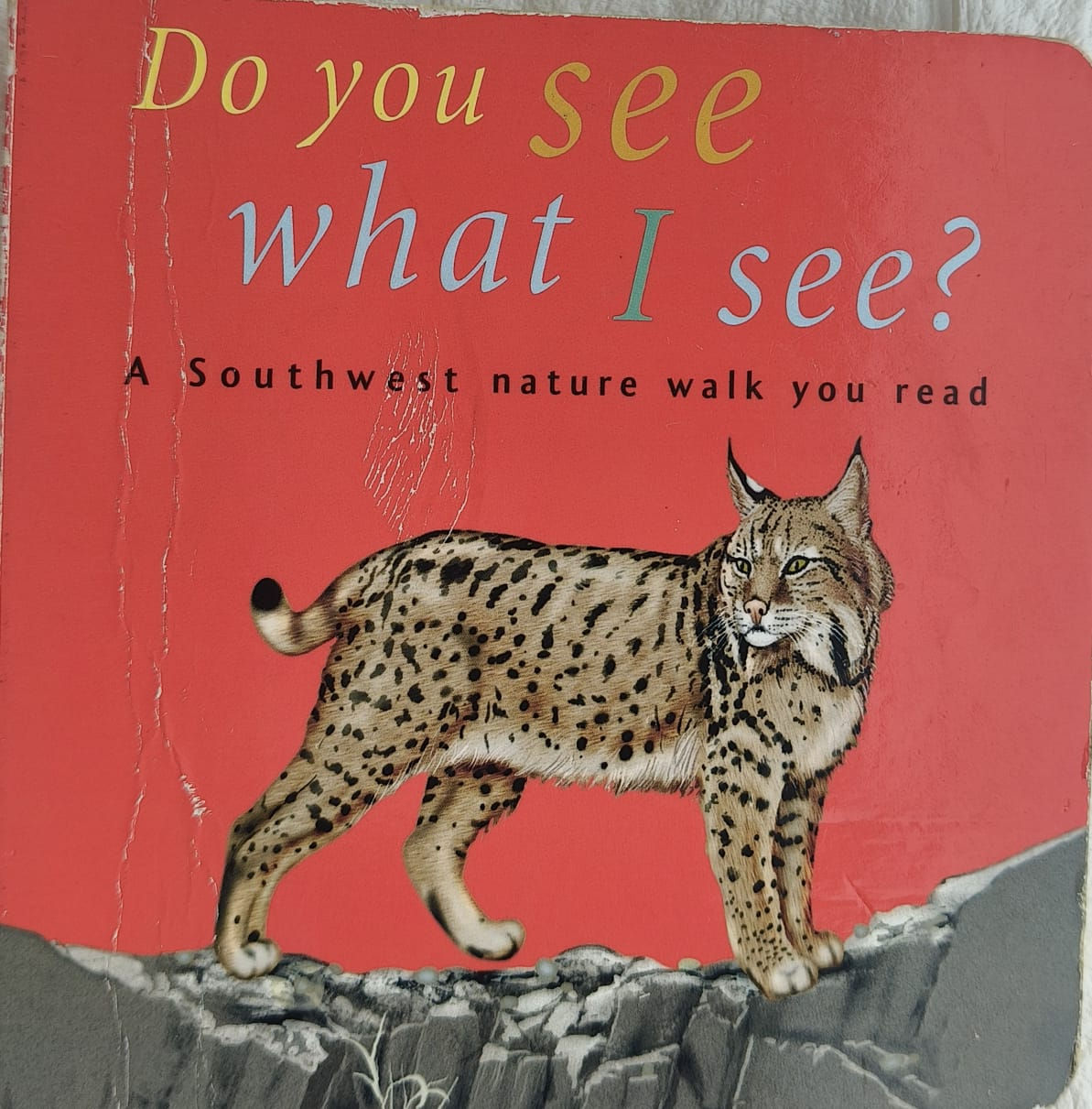 Do You See What I See? - Board Book