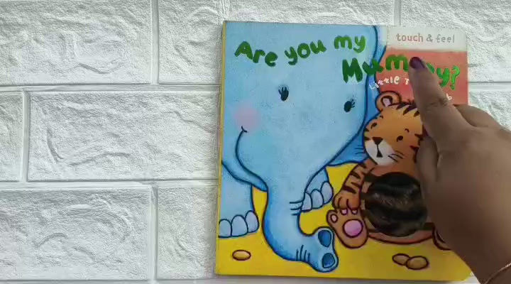 Are You My Mummy ? Little Tiger Cub - Touch & Feel Board Book