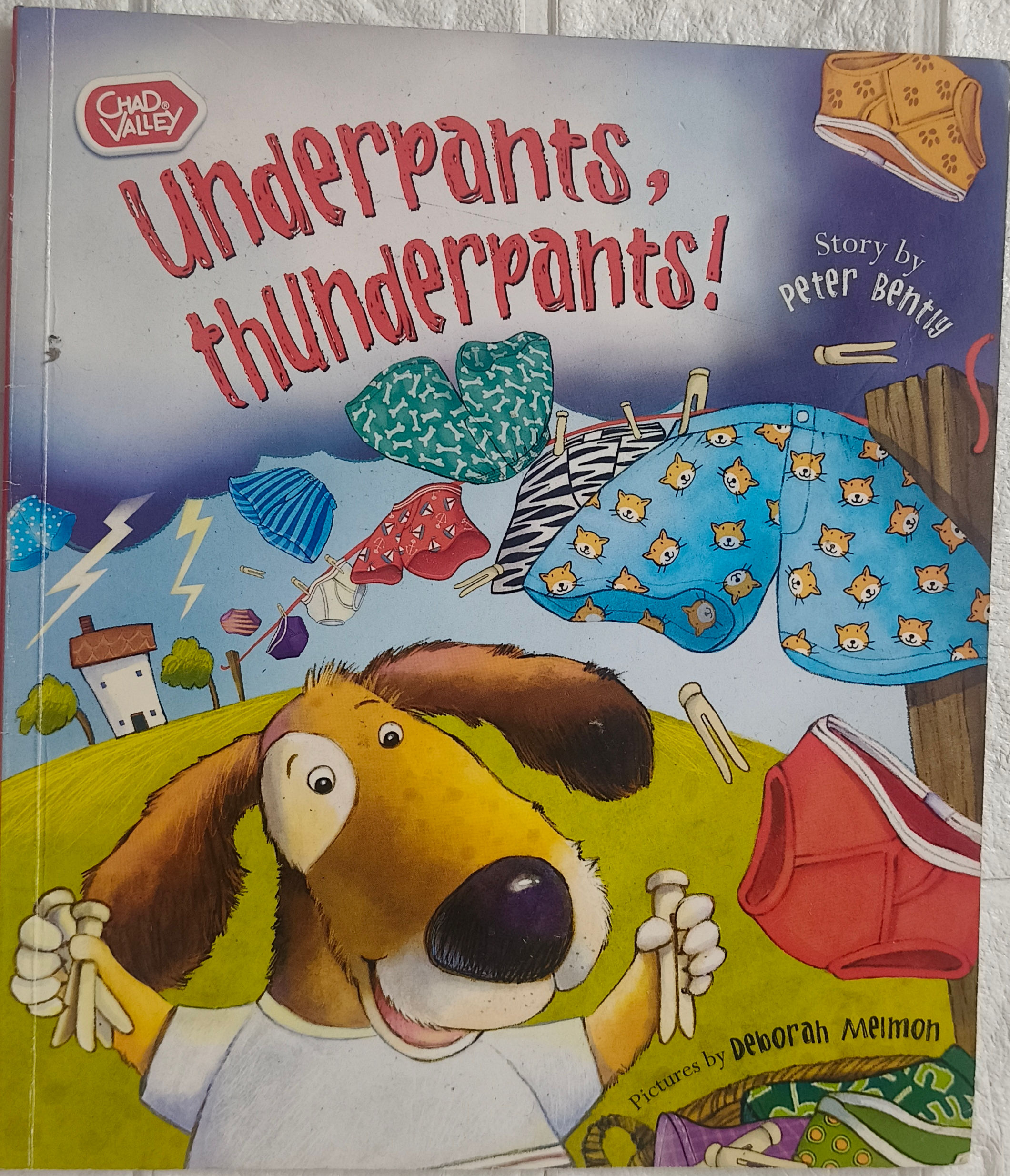 Underpant, Thunderpants - Paperback