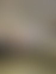 7丁目8丁目さわの森春場所