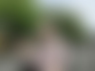 暖かい日はお散歩日和です