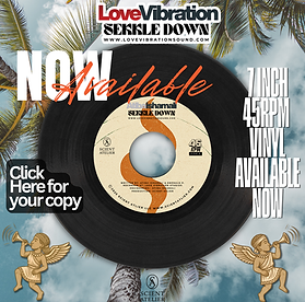 New Vinyl Promo (2).png