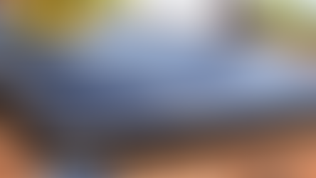 Solar Panel Bird Proofing – Protect Your Health, Your Roof & Your Solar Investment