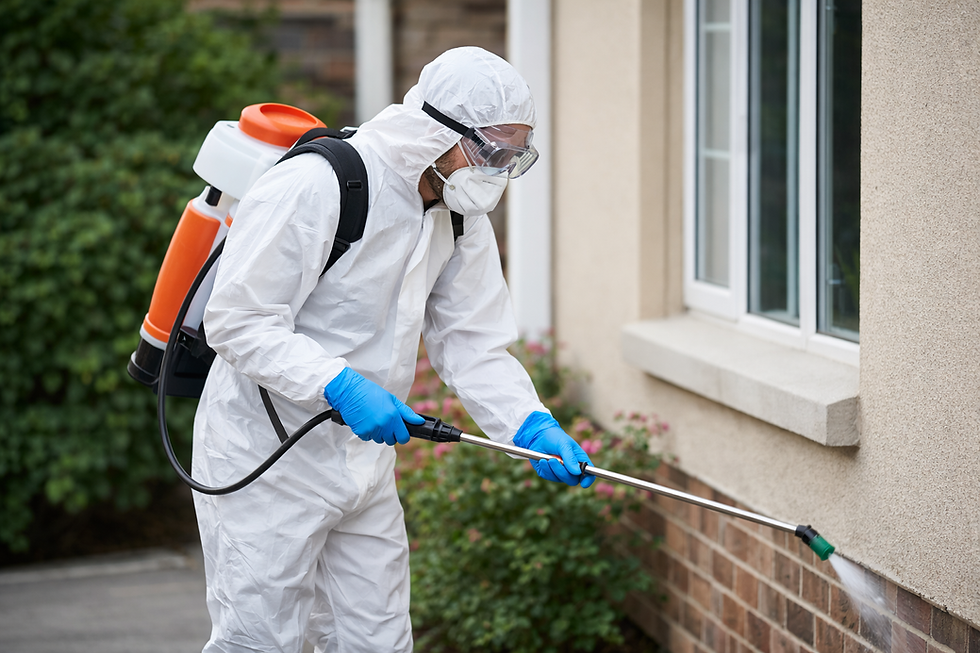 Close-up view of pest control technician inspecting a Sydney home exterior