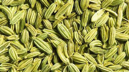 Green fennel seeds (saunf) – sweet aroma and flavor