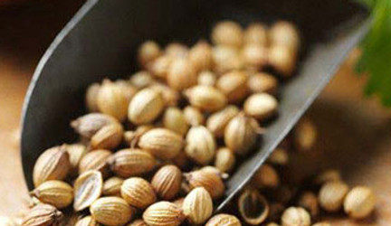 Whole coriander seeds (dhania) – citrusy aroma and flavor