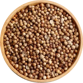 coriander-seeds