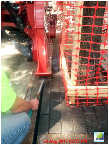 Typical MicroTrenching ASG Verizon at Curb Missing Street Tree Roots Certified Arborist Inspection