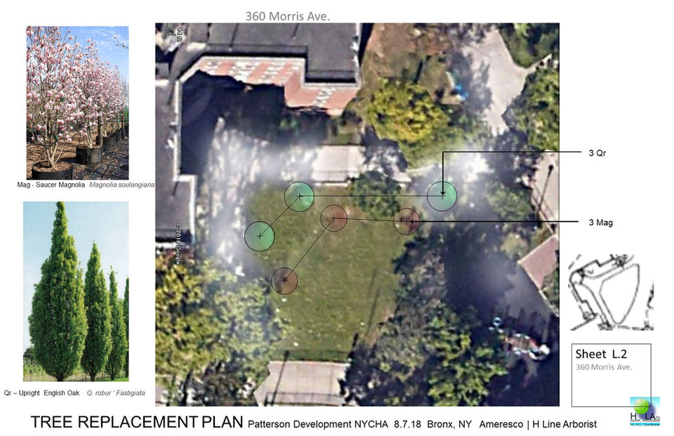 Plan Review Tree C of O Arborist _Tree Removal Replacement Plan NYCHA