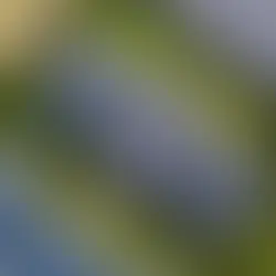 Maximizing the Service Life of Your Commercial Roof