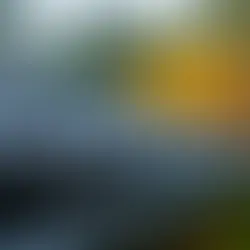 Detecting and Addressing Roof Leaks