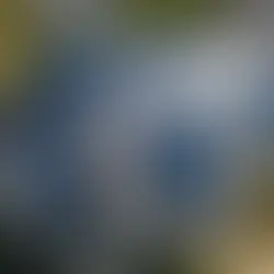 A Comprehensive Guide to Selecting the Right Roofing Options for Your Home