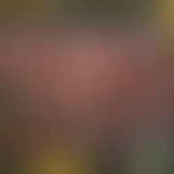 Ultimate Guide to DIY Roof Repair: Expert Tips for Handy Homeowners