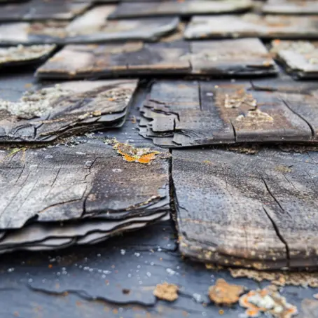 The Perils of Overlooking Essential Asphalt Shingle Maintenance