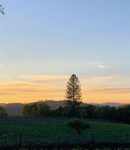 TPV sunset_edited.jpg