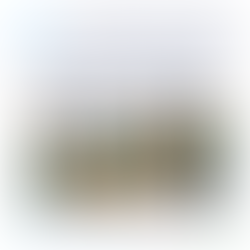 Atividade Especial do Convergência: Conexão Solidária